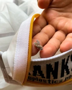 LEUS ECO WASH BAG -Dakine Surfing Store leus washbag lint 11411.1673632261